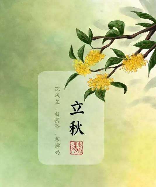 第329页